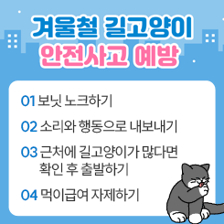 길고양이 안전사고 예방 캠페인